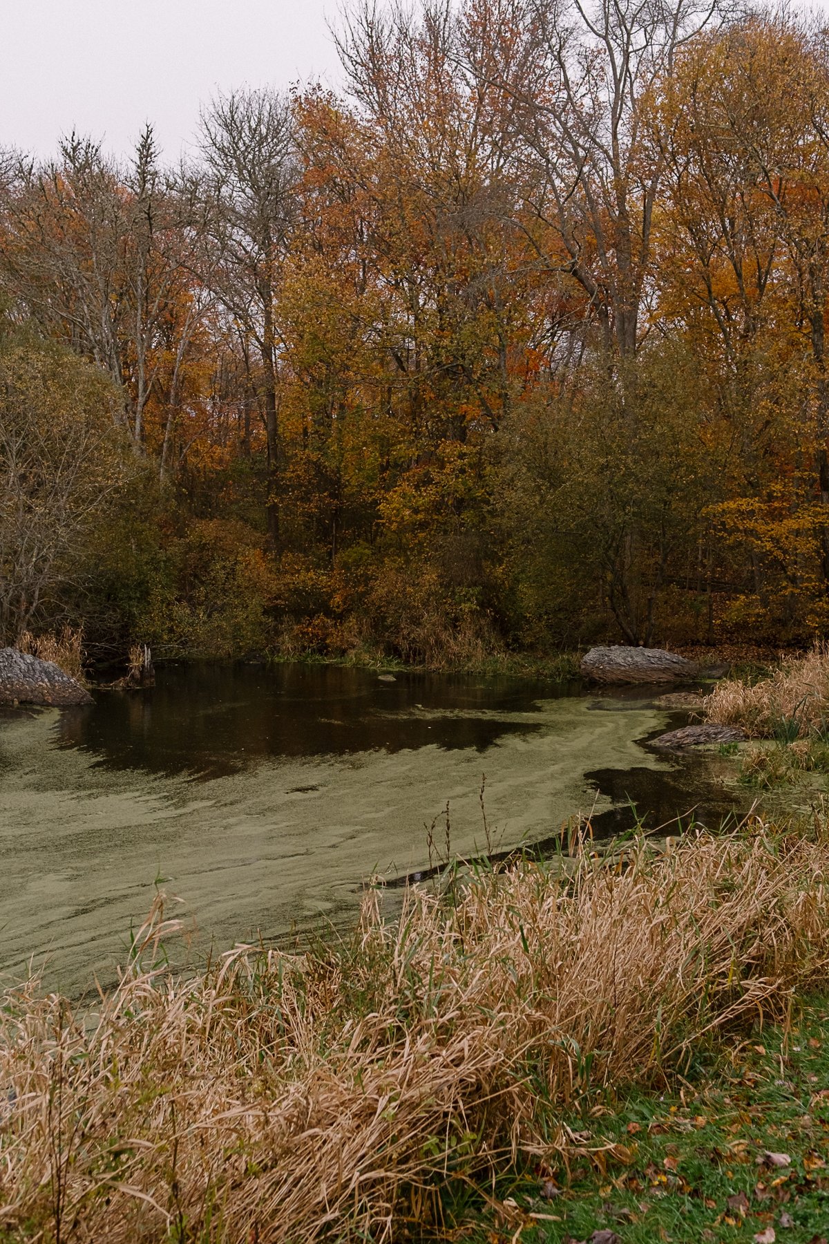 Norman Bird Sanctuary post thumbnail