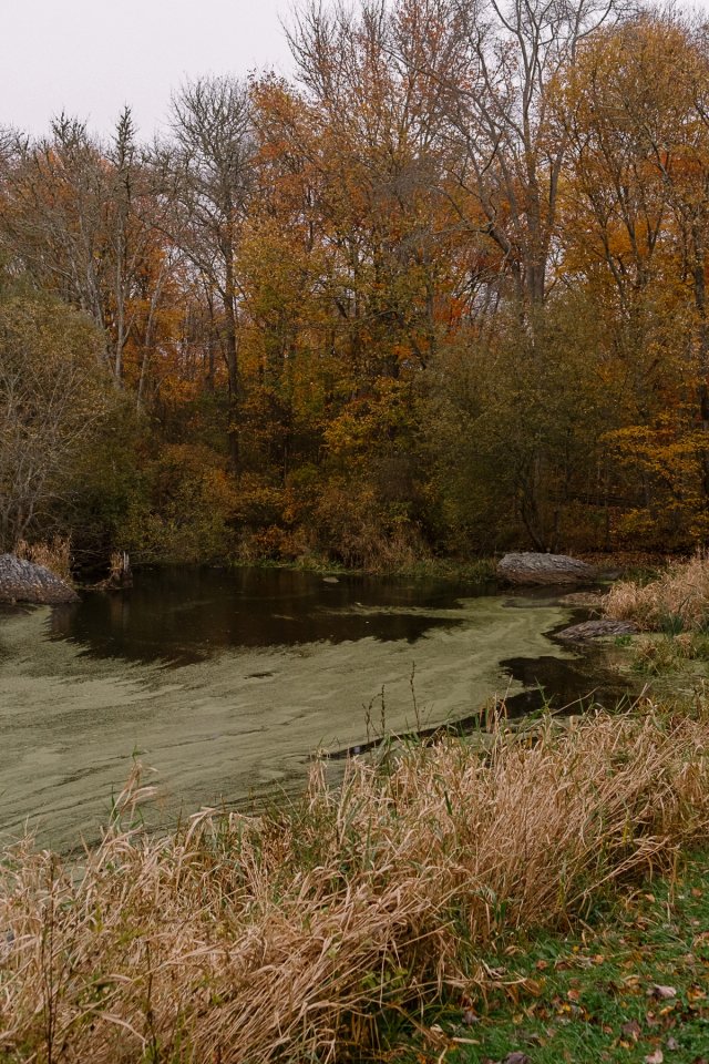 Norman Bird Sanctuary post thumbnail