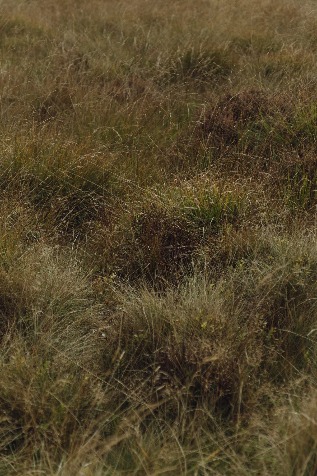 Autumn Notes post thumbnail