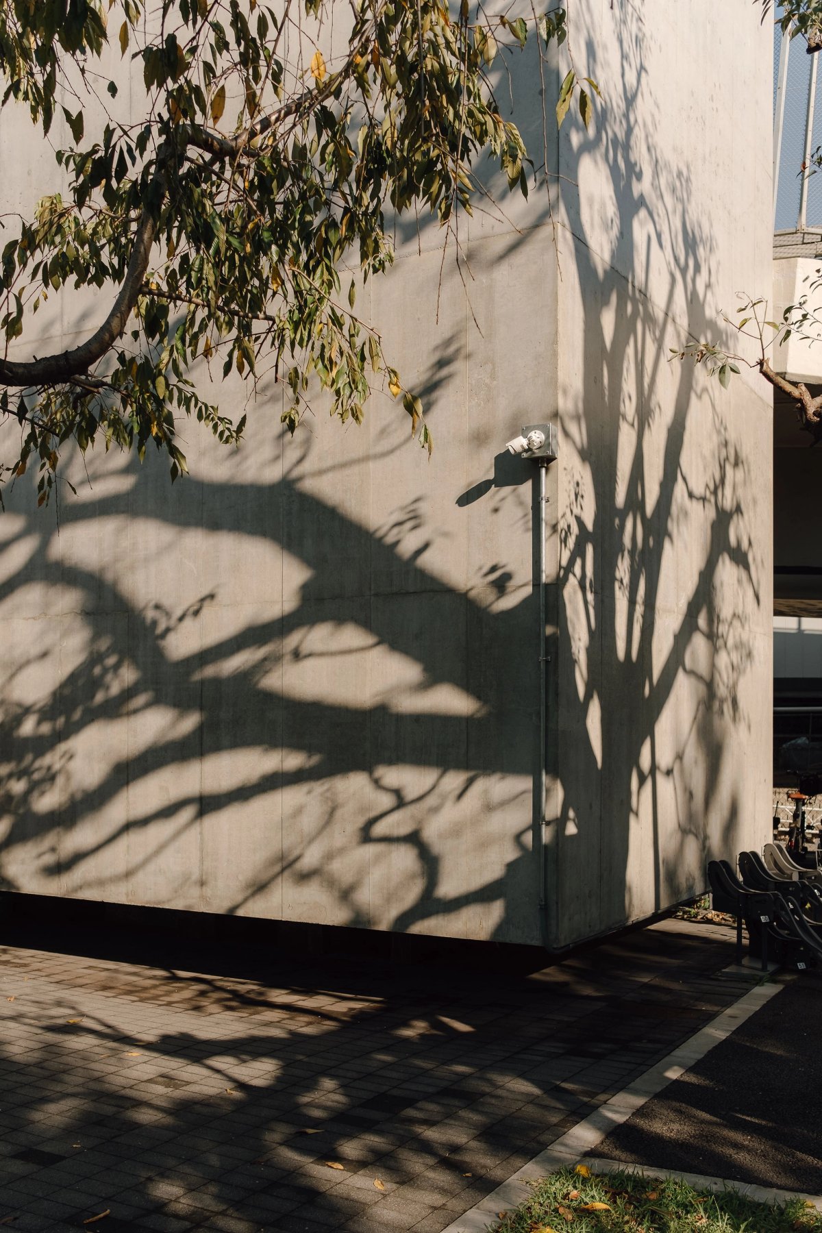 Tokyo Light post thumbnail