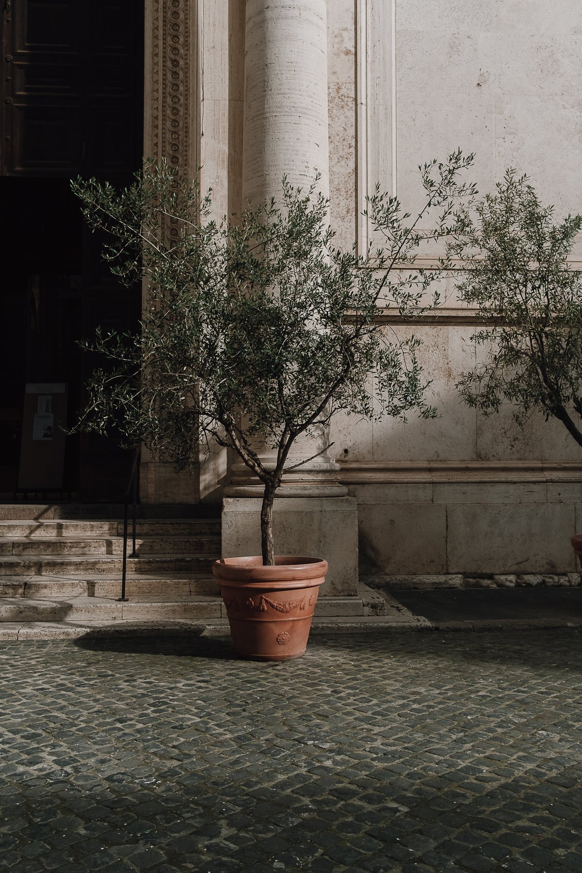 Street Gardens of Rome post thumbnail