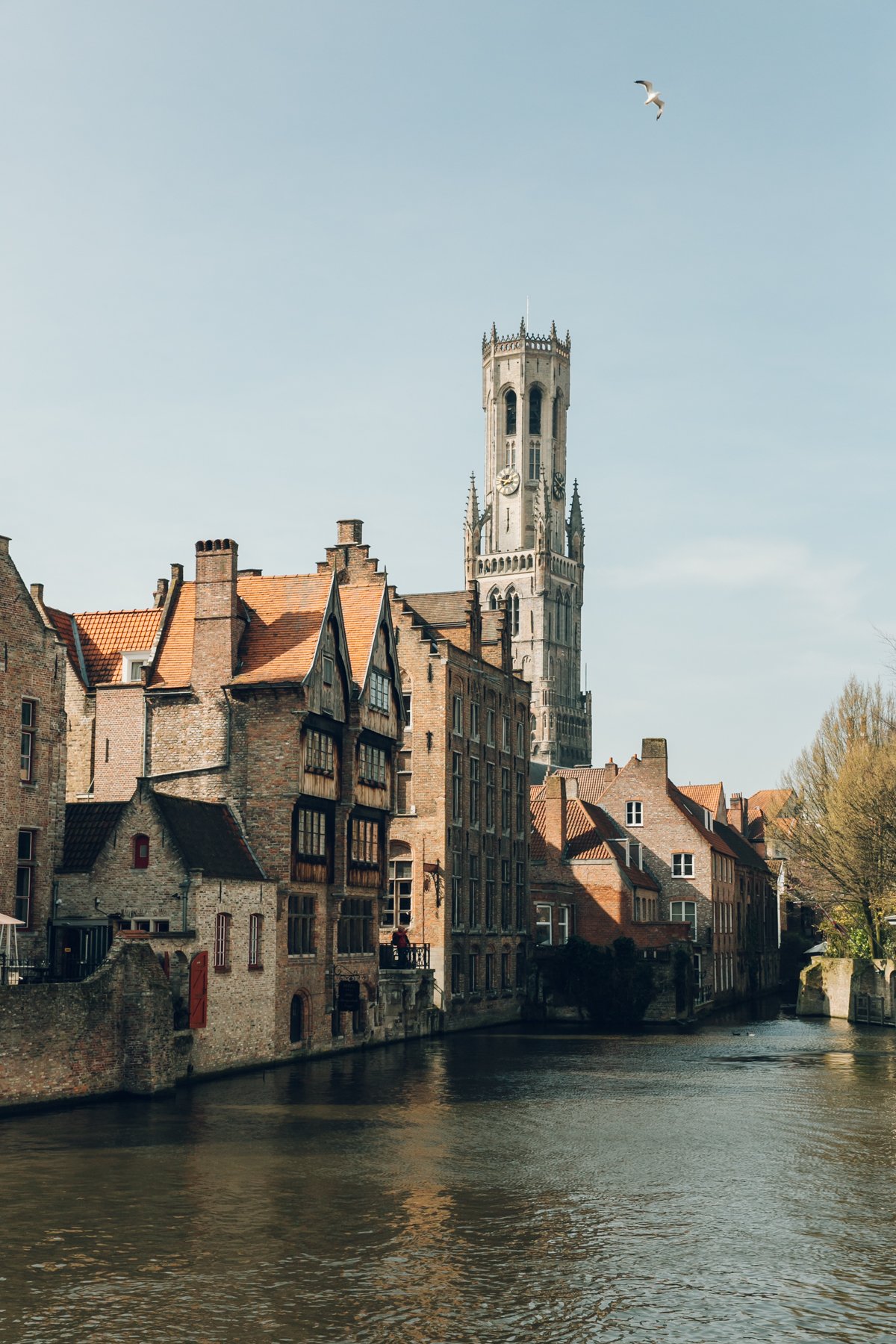 Brussels, Ghent and Bruges post thumbnail