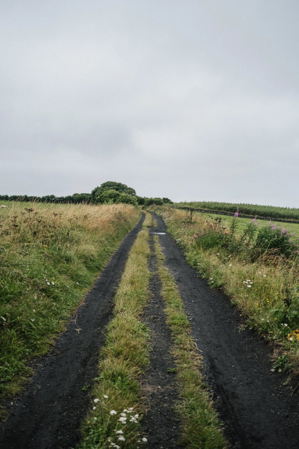 The Cleveland Way post thumbnail
