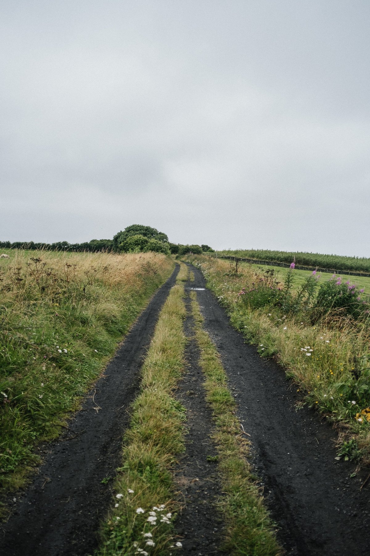 The Cleveland Way post thumbnail