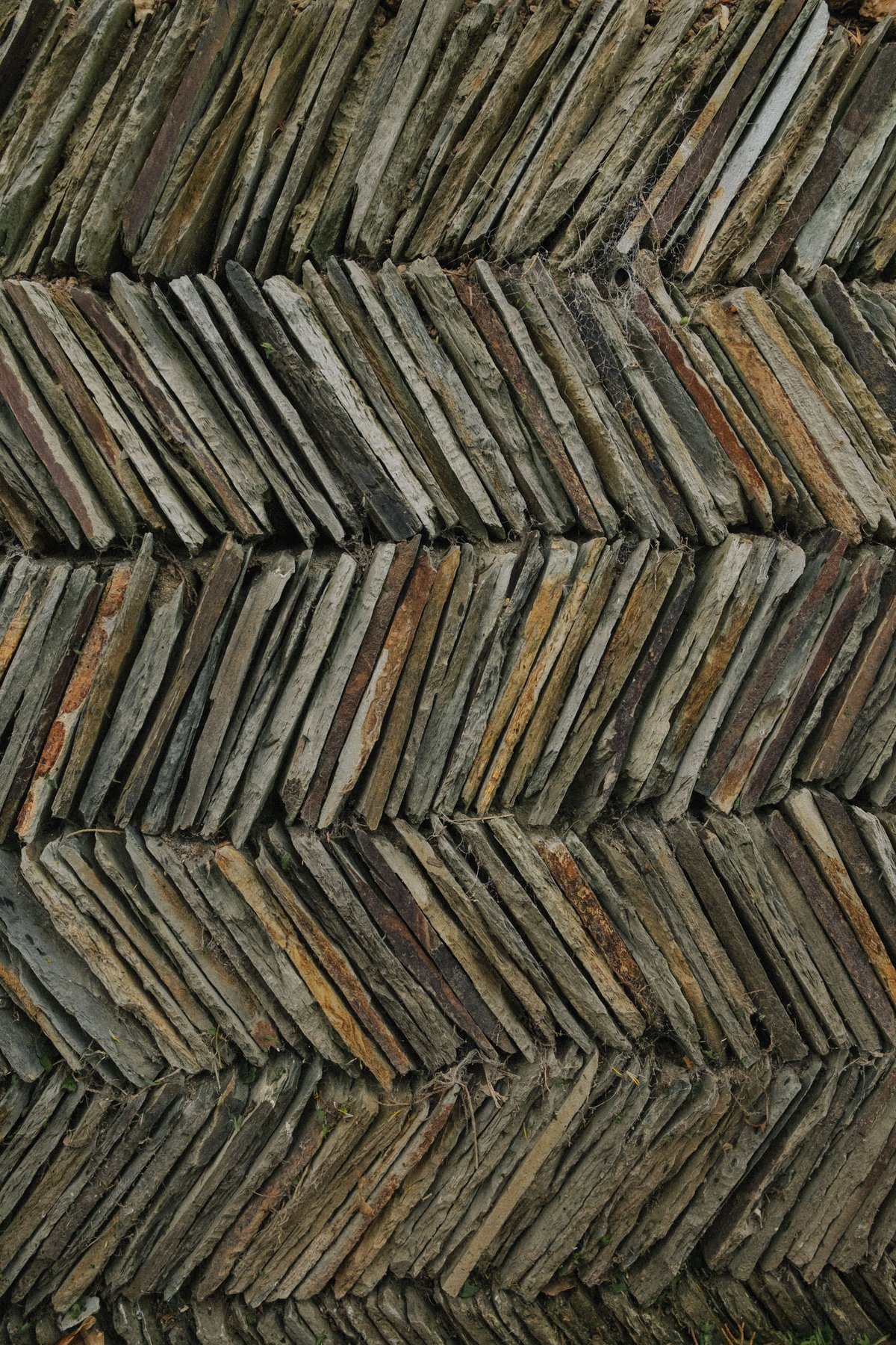 Grey Cornwall post thumbnail