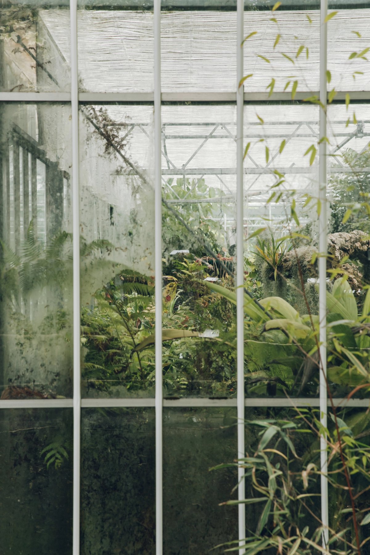 Bristol Botanic Garden post thumbnail