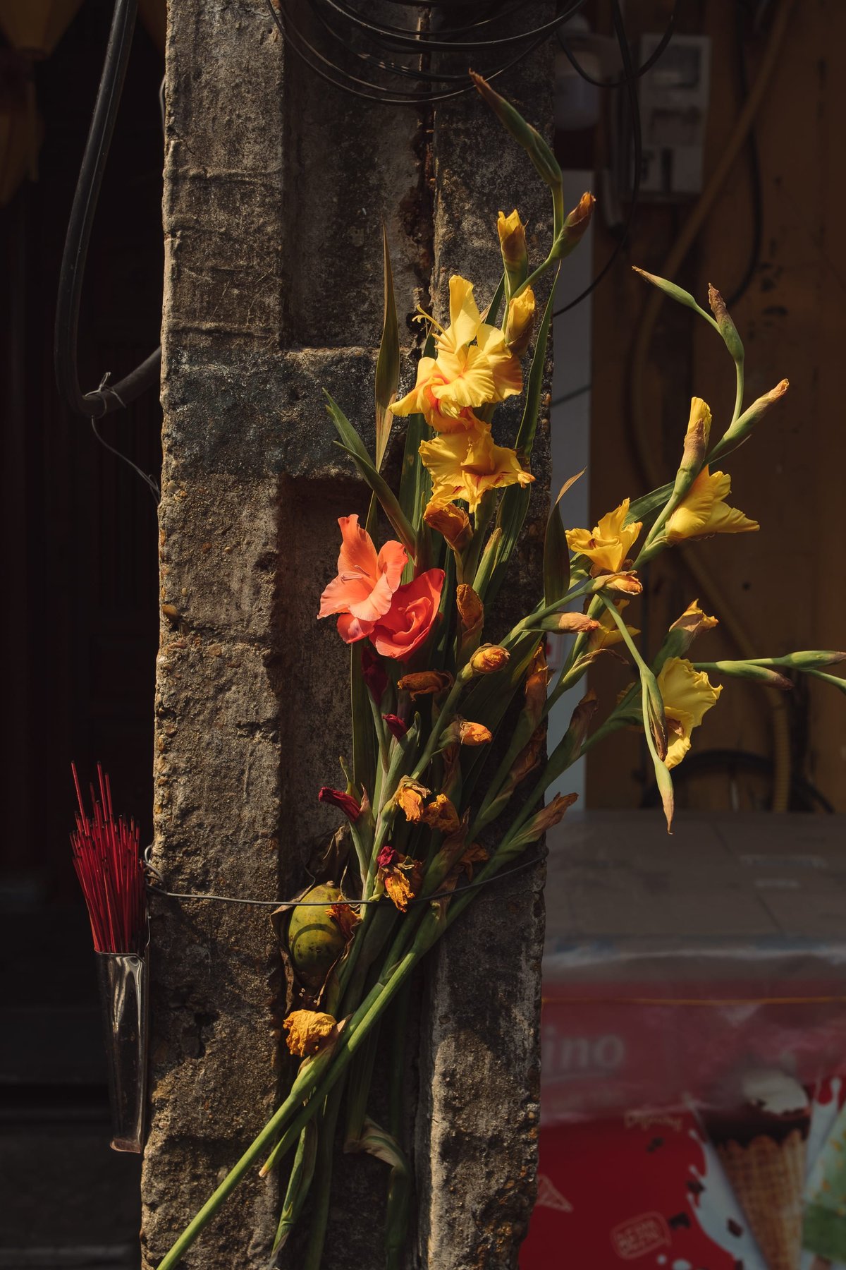 Hoi An post thumbnail