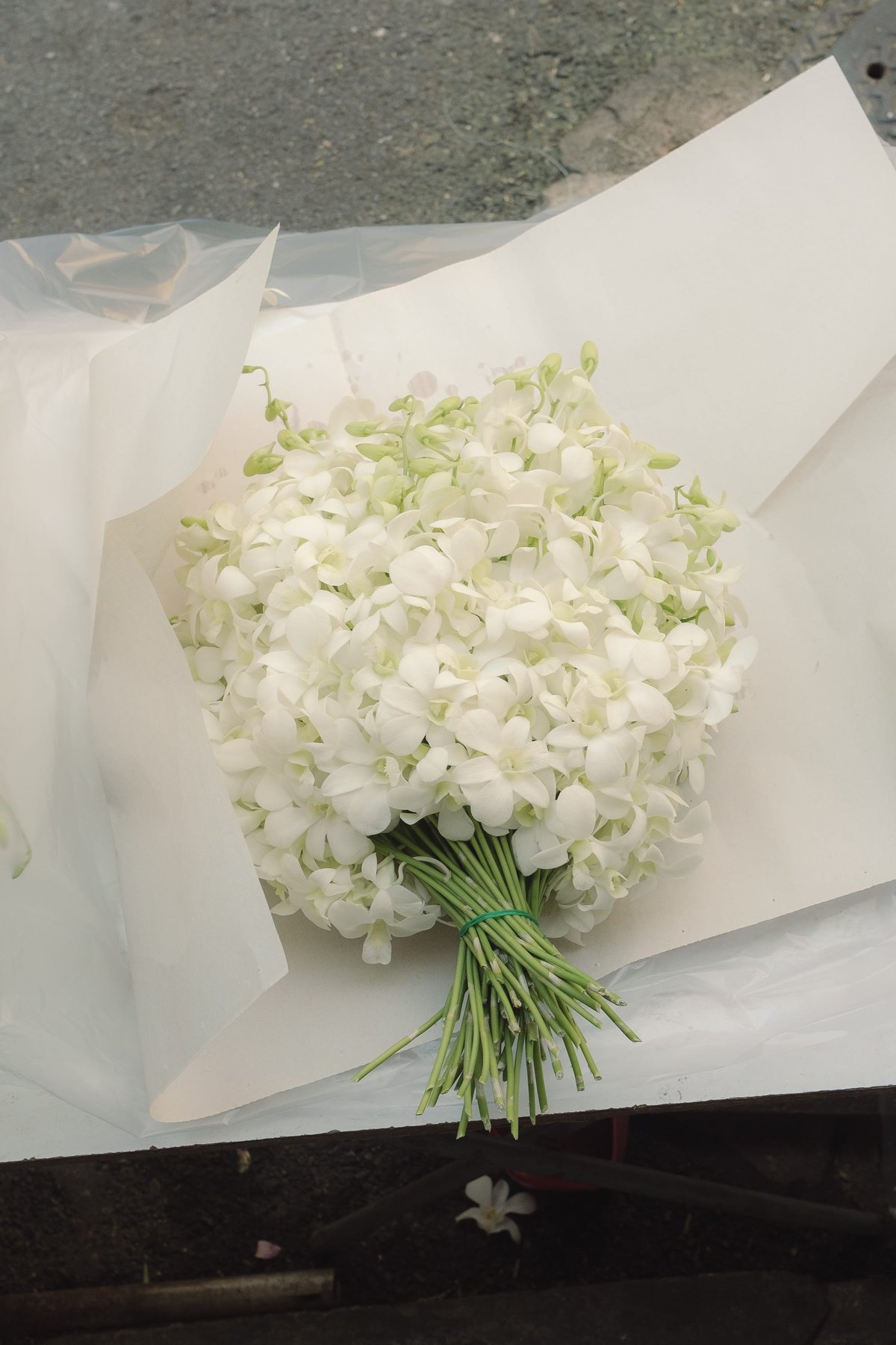 Bangkok Flora post thumbnail