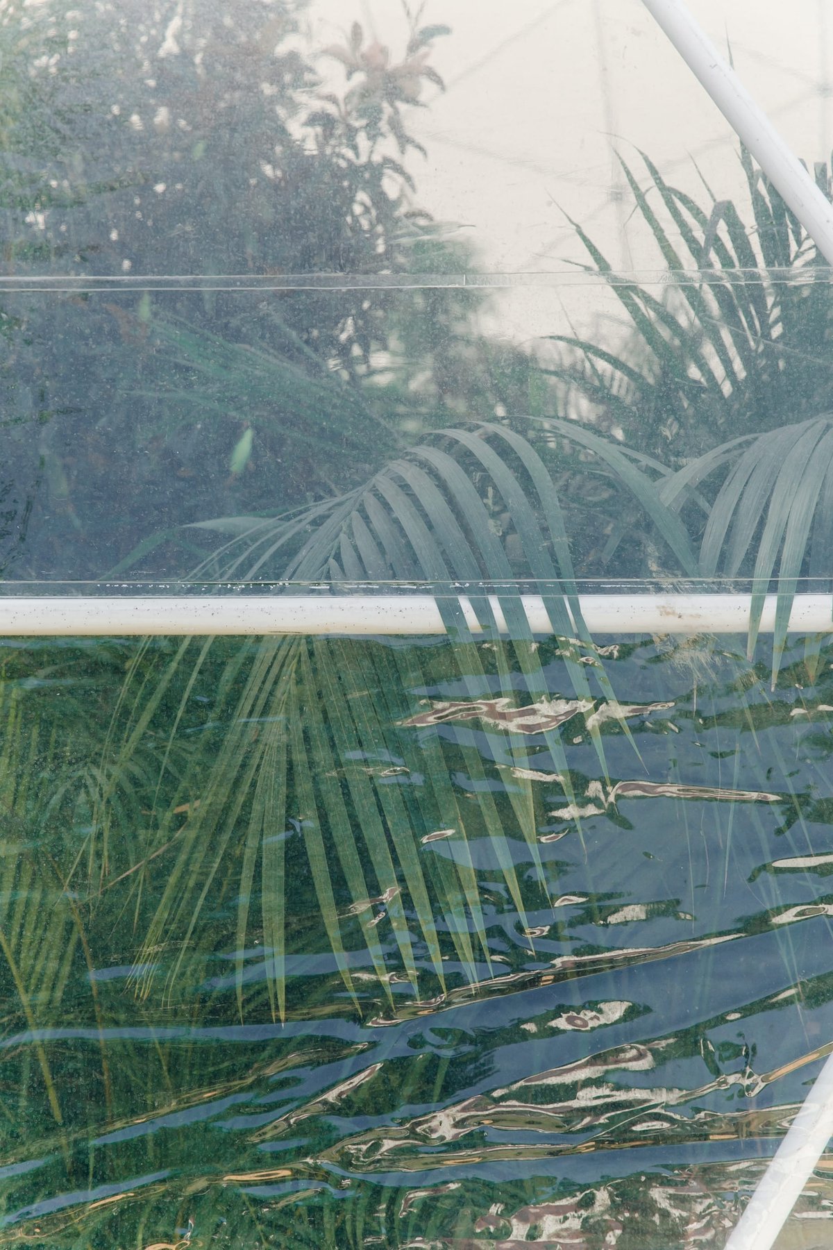 RHS Hampton Court Palace Flower Show Highlights post thumbnail