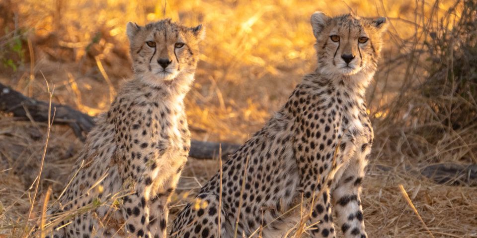 SAADANI NATIONAL PARK SAFARI GUIDE