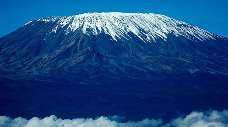 MOUNT KILIMANJARO SAFARI GUIDE