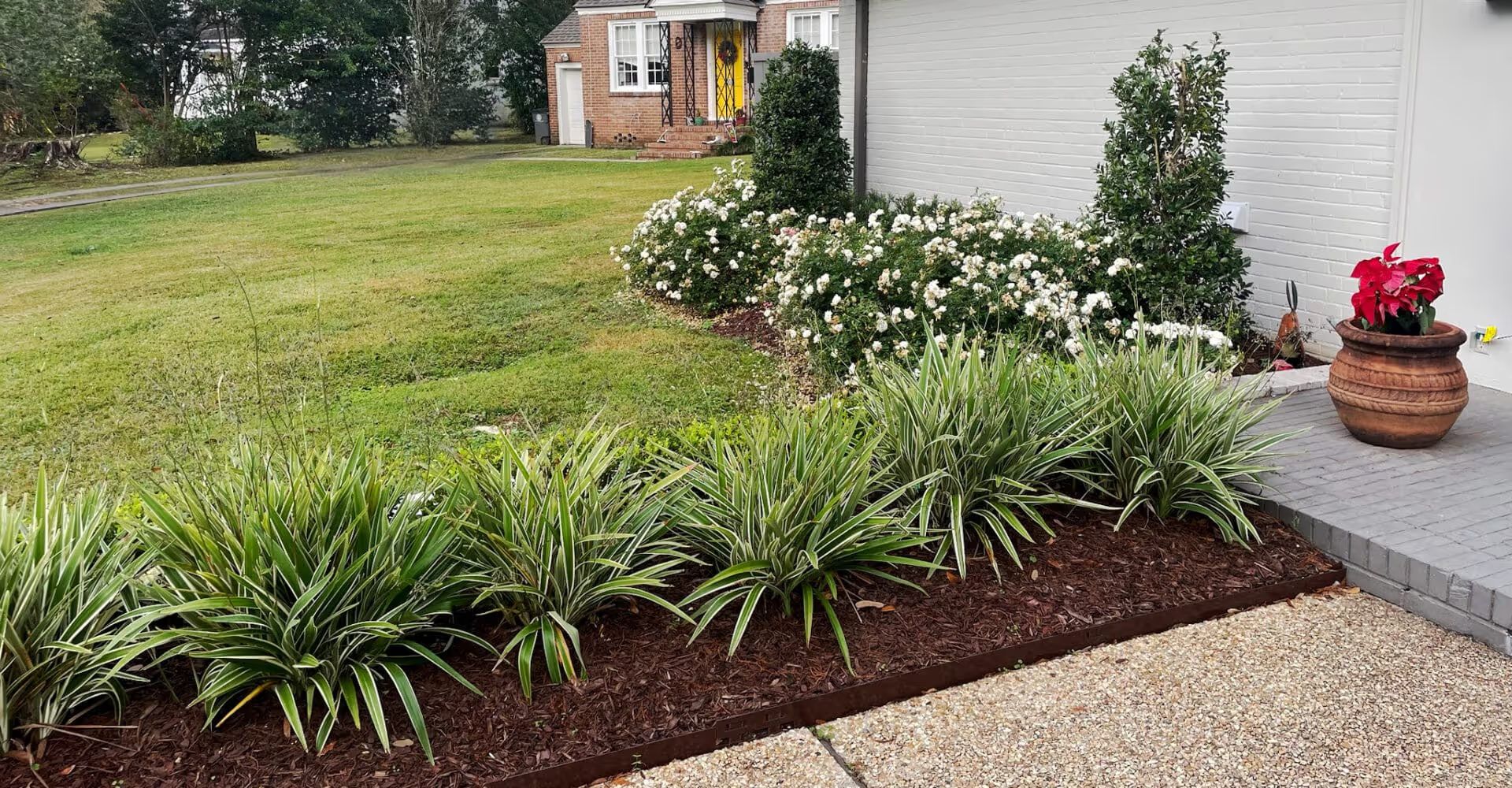The Best Low-Maintenance Plants and Shrubs