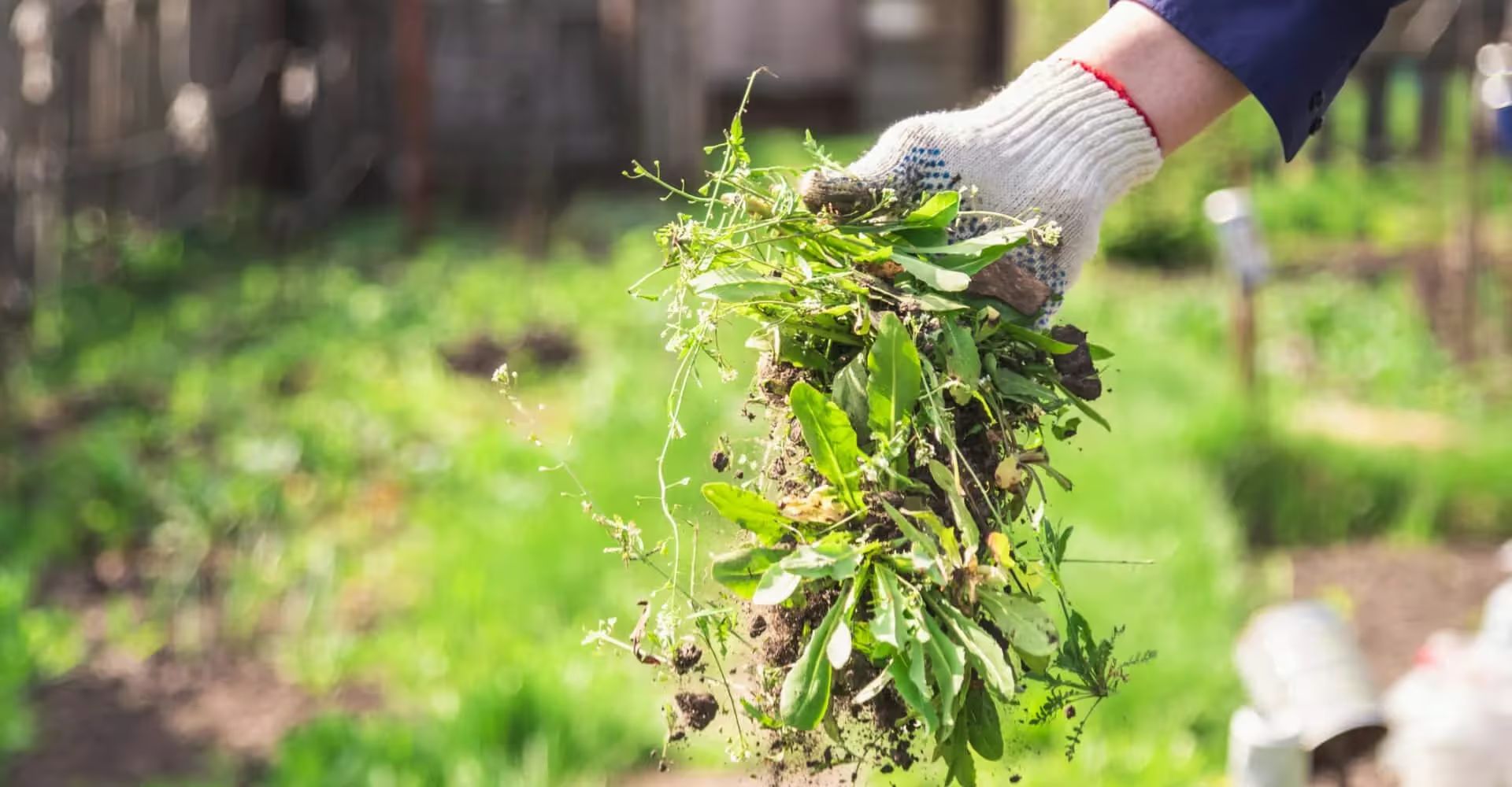 How To Control Weeds In Your Flower Beds and Landscaping