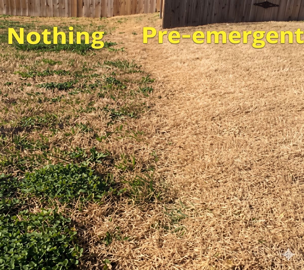 Pre-Emergent Weed Control for Baton Rouge Lawns