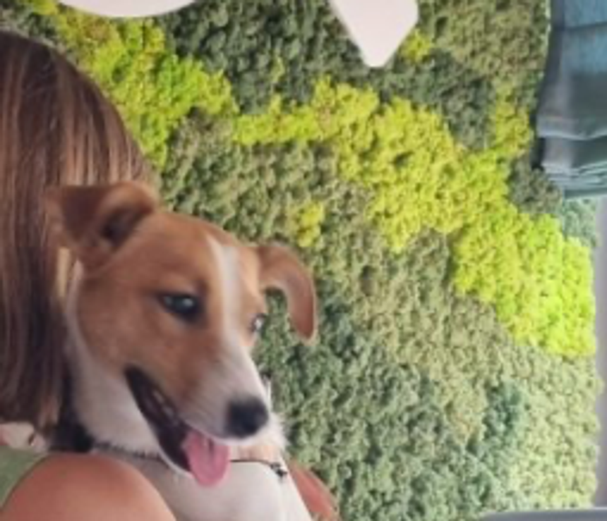 Emi and her dog