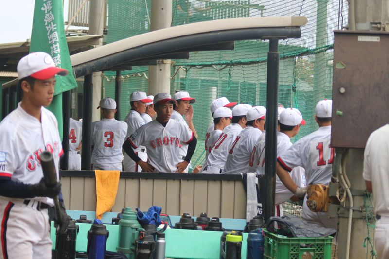 写真7