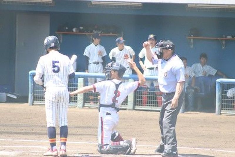 写真12