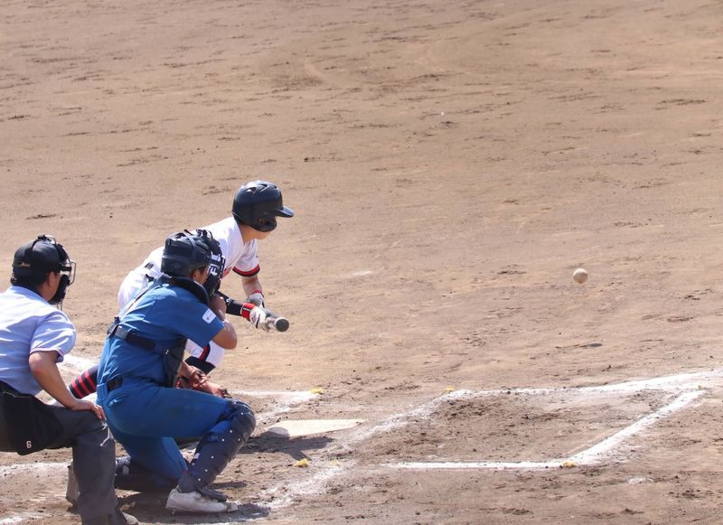 写真19