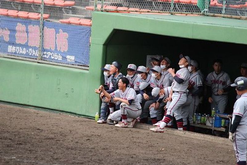 写真6