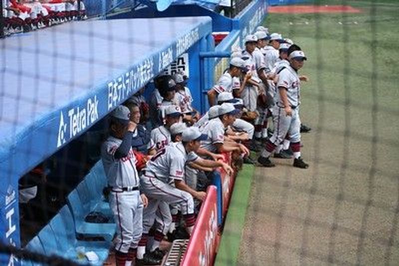 写真12