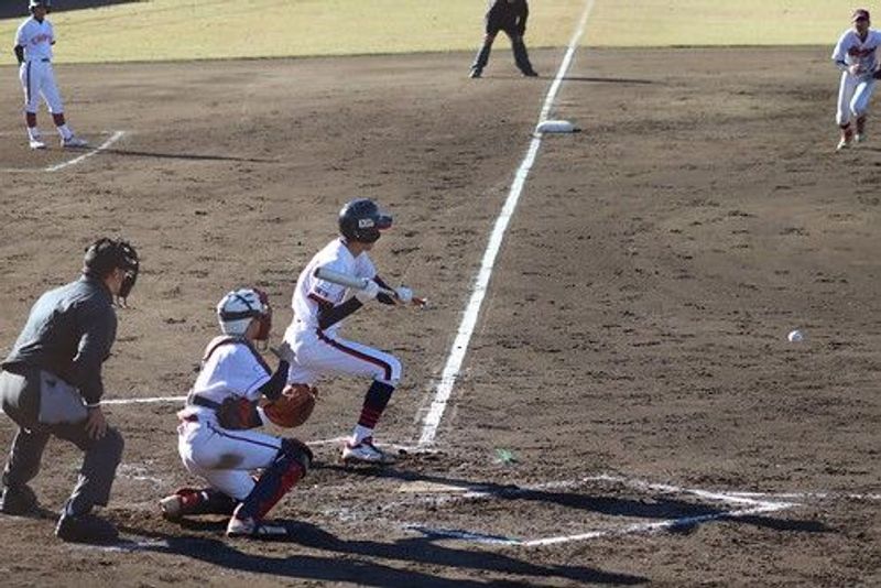 写真19