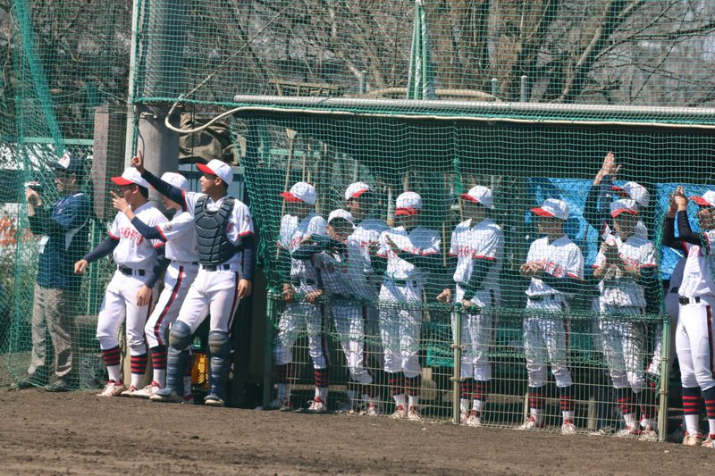 写真4
