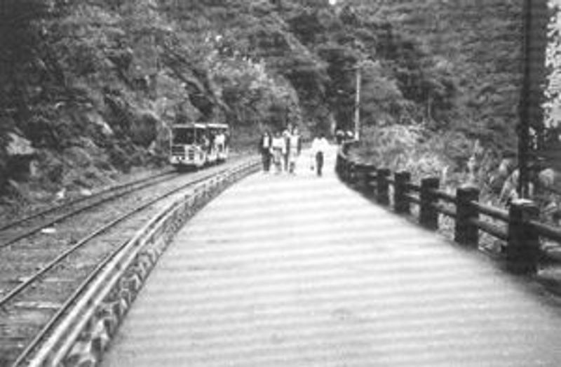 写真99
