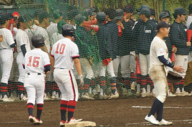 写真11