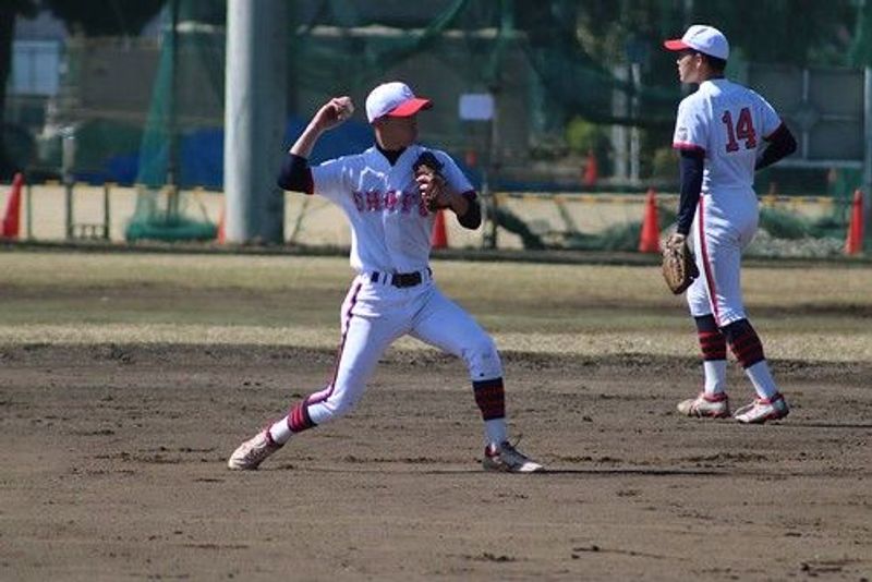 写真6