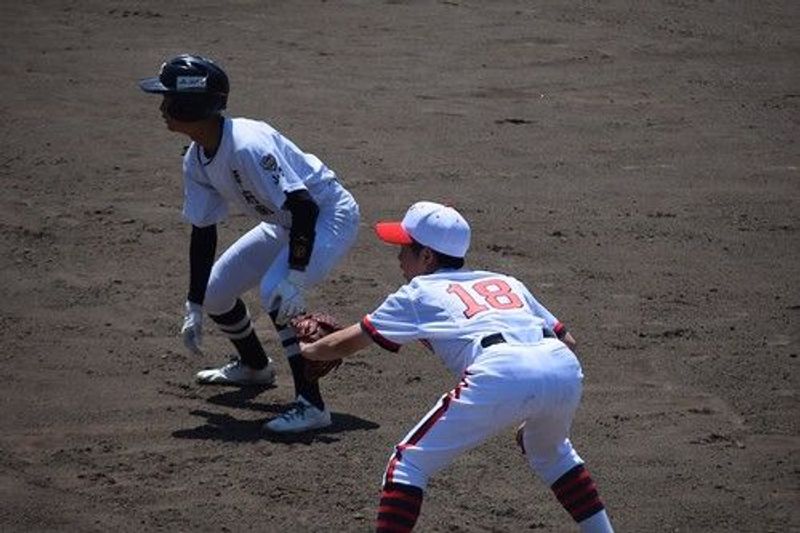 写真6