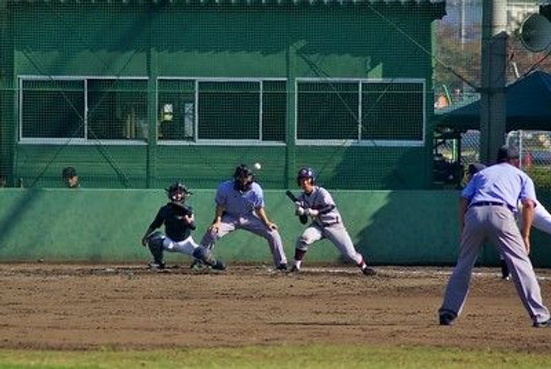 写真11