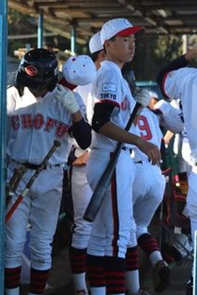写真11
