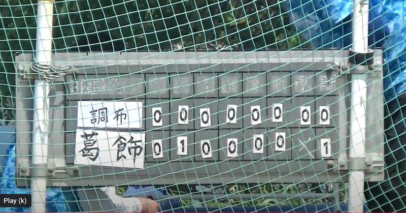 写真1