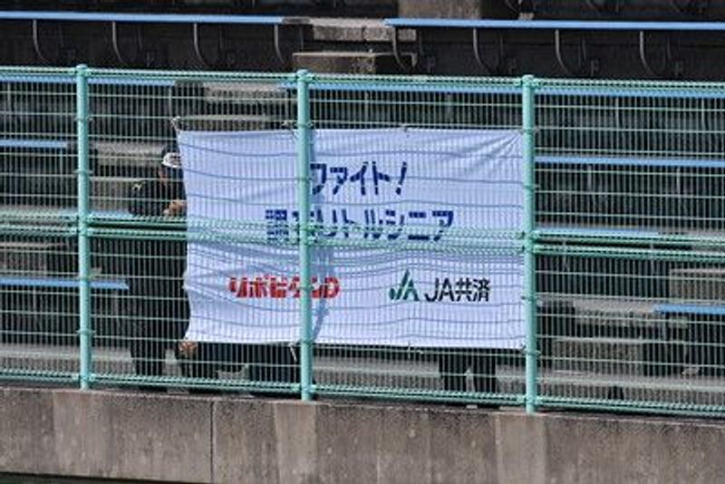 写真11