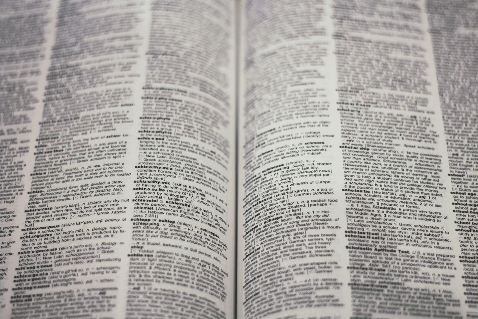 What is the weirdest word ever? Please use it in a sentence.