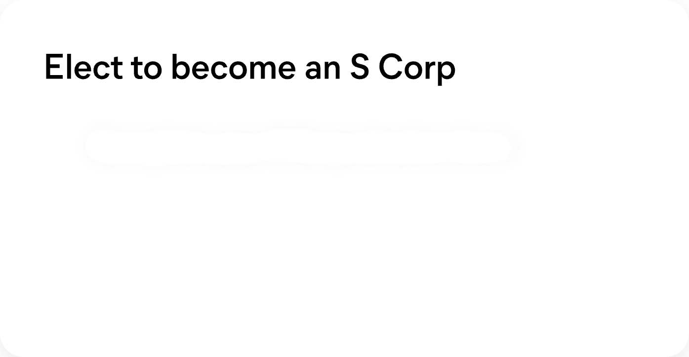 LLC formation and S Corp election for photographers