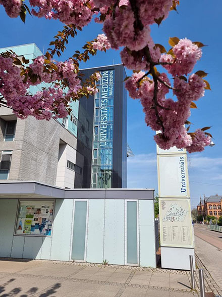 Frühlingshafter Blick auf die Universität Magdeburg