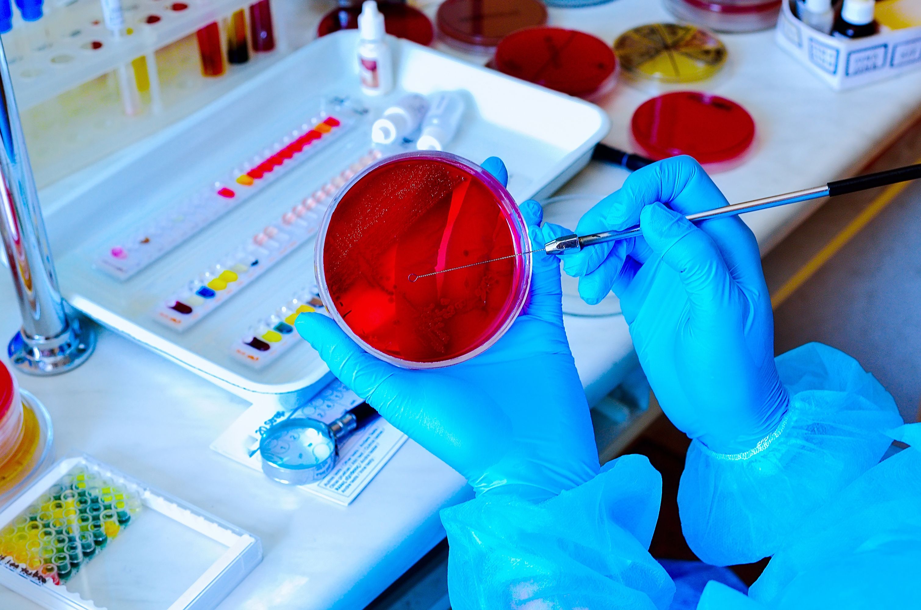 Mikrobiologie