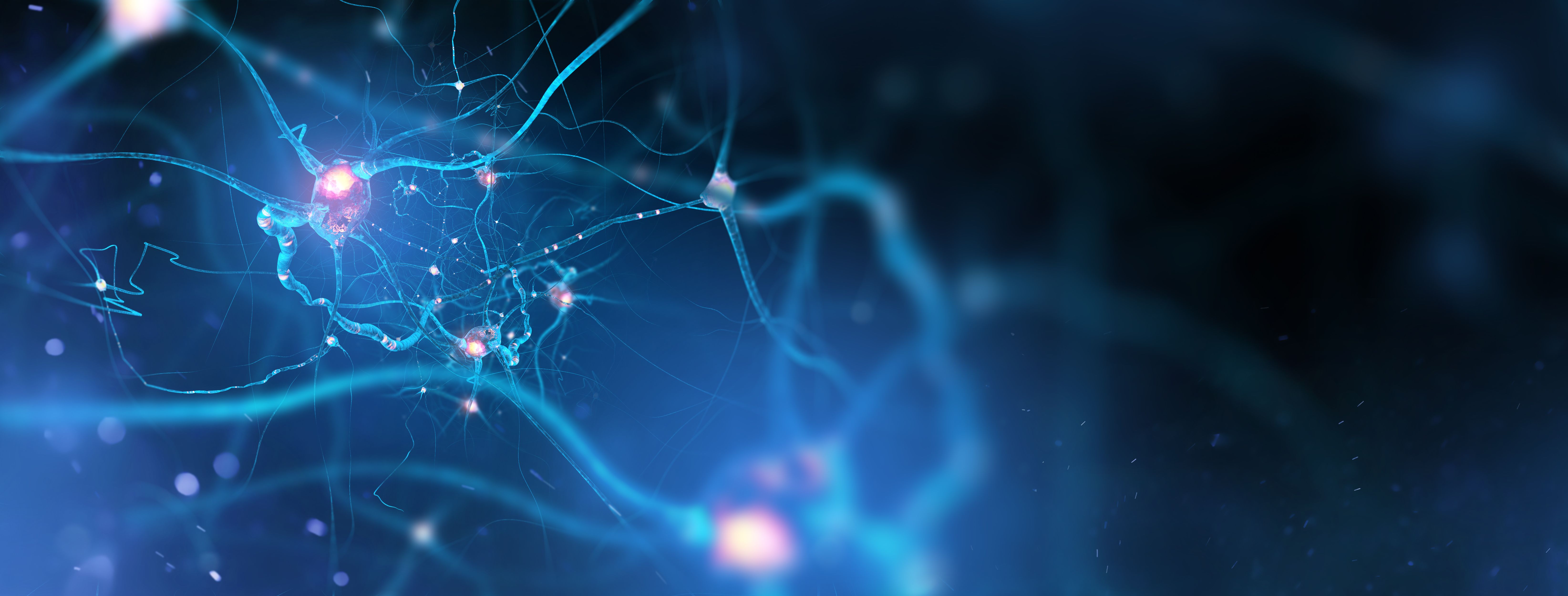 Neurobefunde