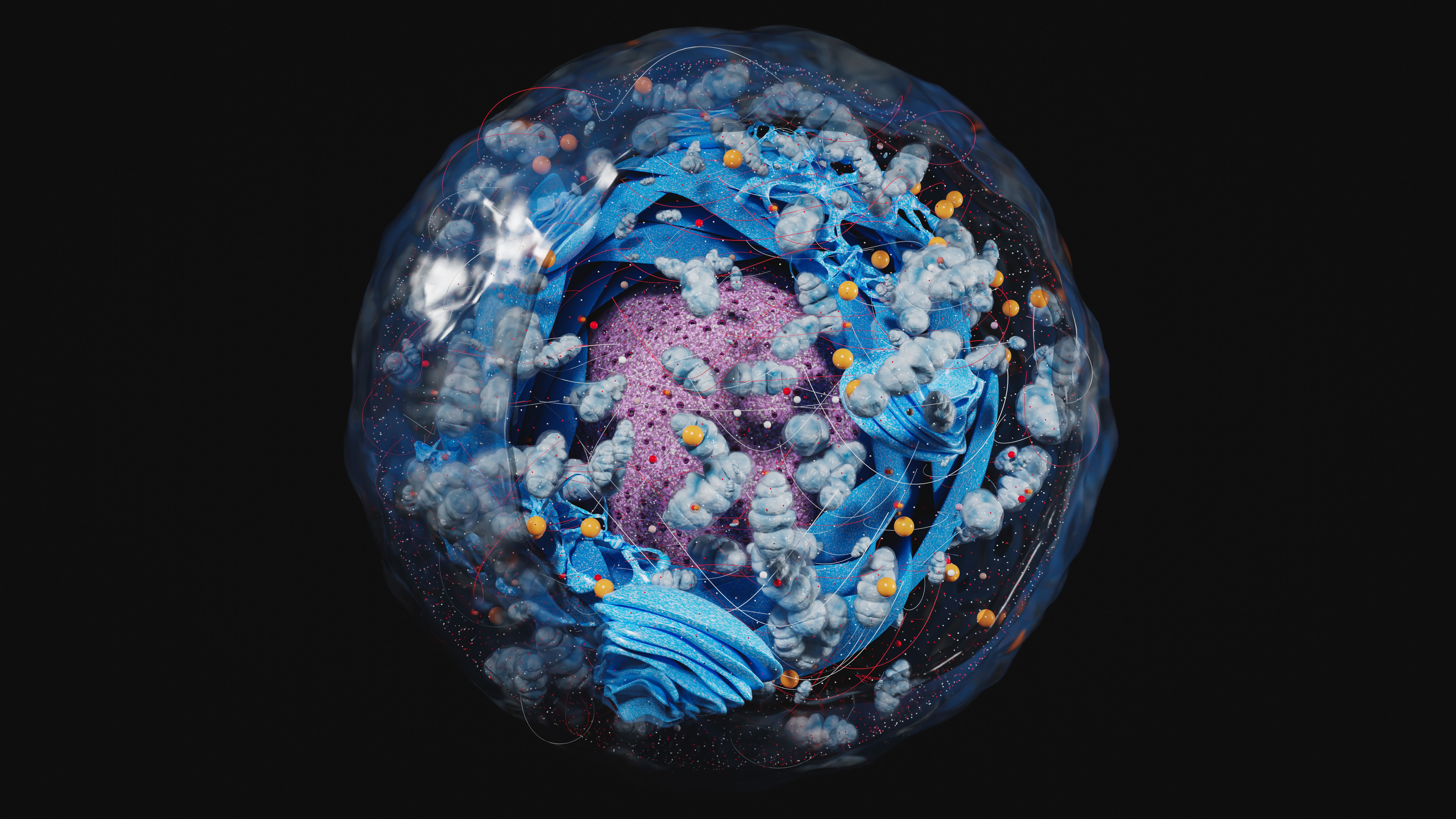 Stilisiert-3D‑darstellte eukaryotische Zelle