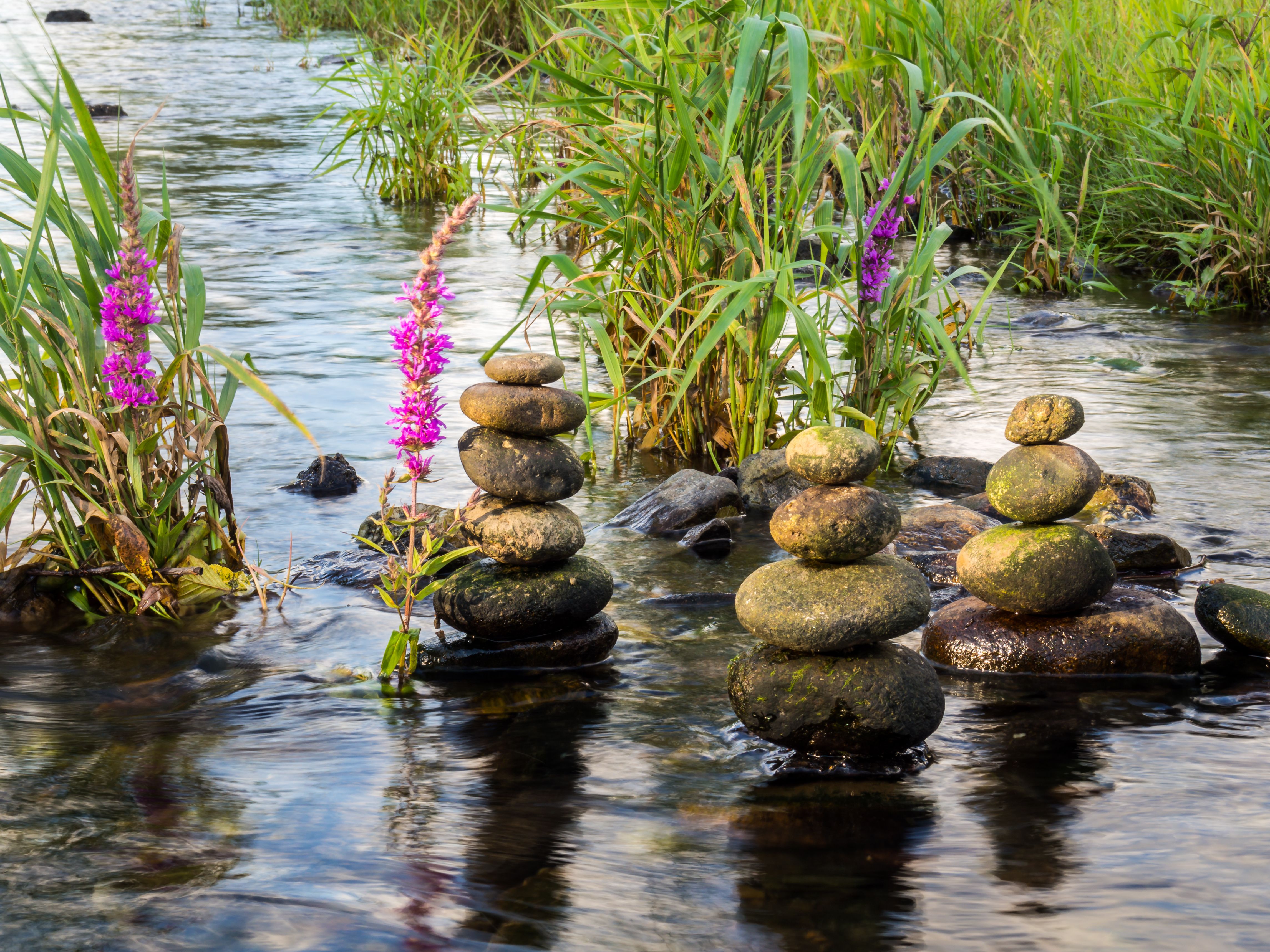 Spirituelle Gesundheit 