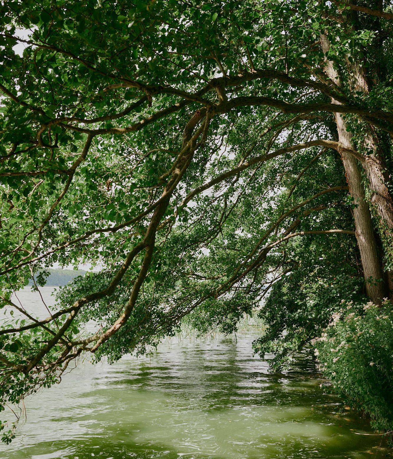 Biosphere partnership