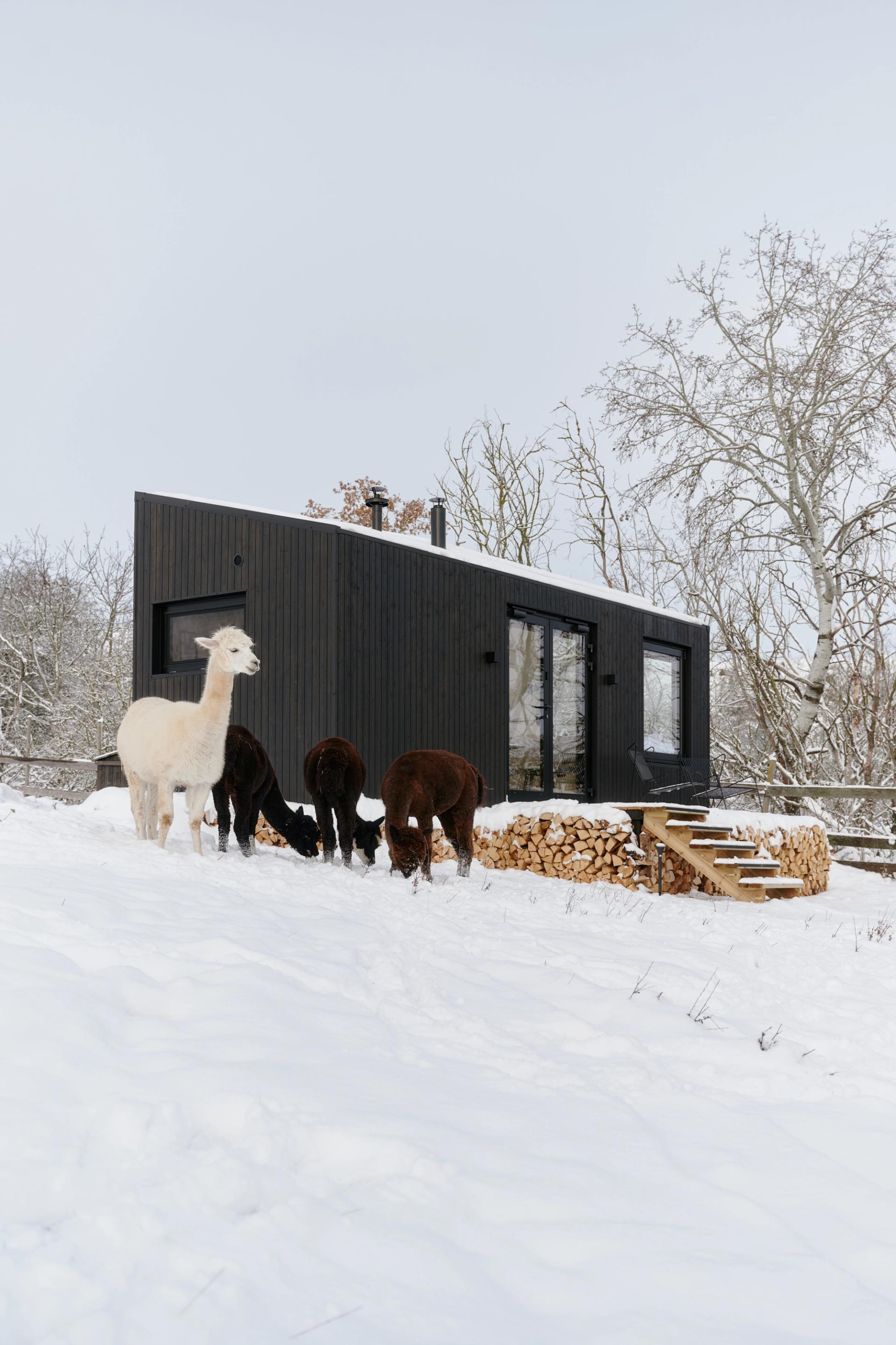 Zeit für Gemütlichkeit: Winterurlaub in der Cabin