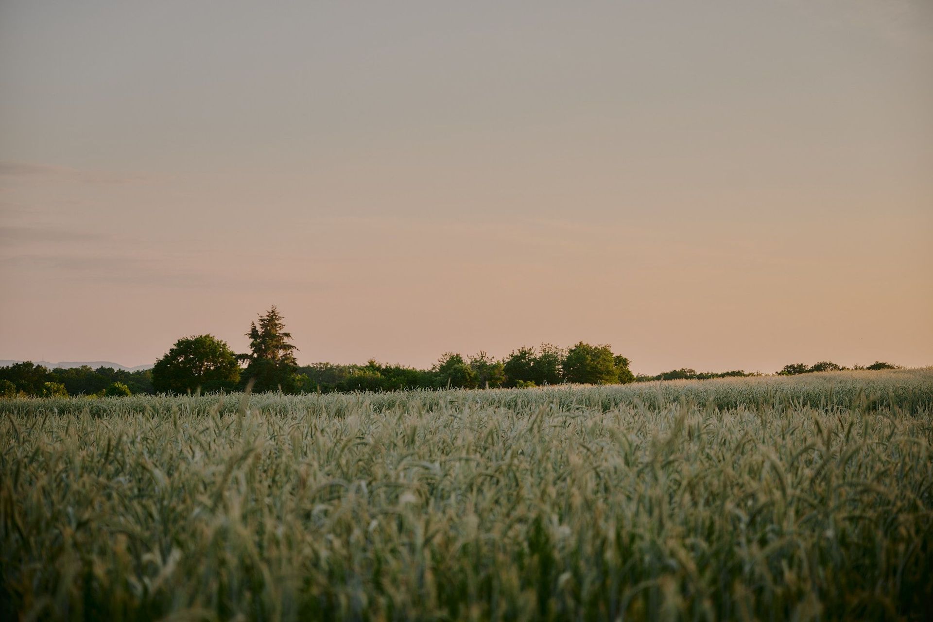 A Breath of Fresh Air: Embracing Nature and Tradition in the French Countryside - Wellness and Relaxation in Nature