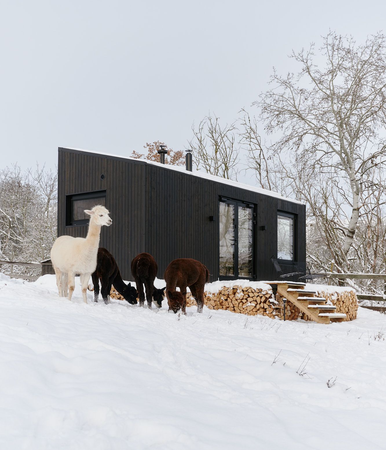 Take a walk in good company.