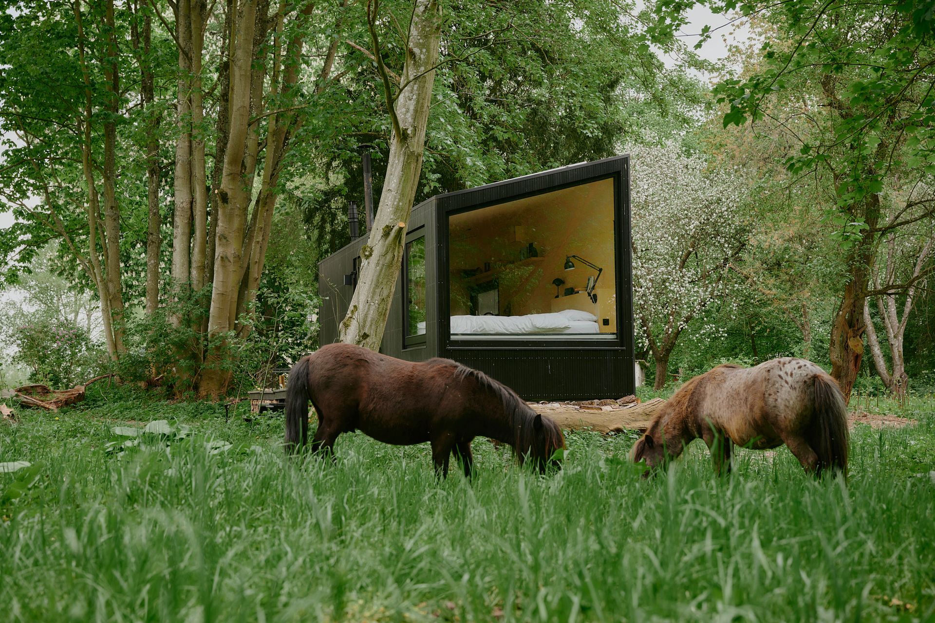 Vacation on a horse farm? We have cabins nearby!