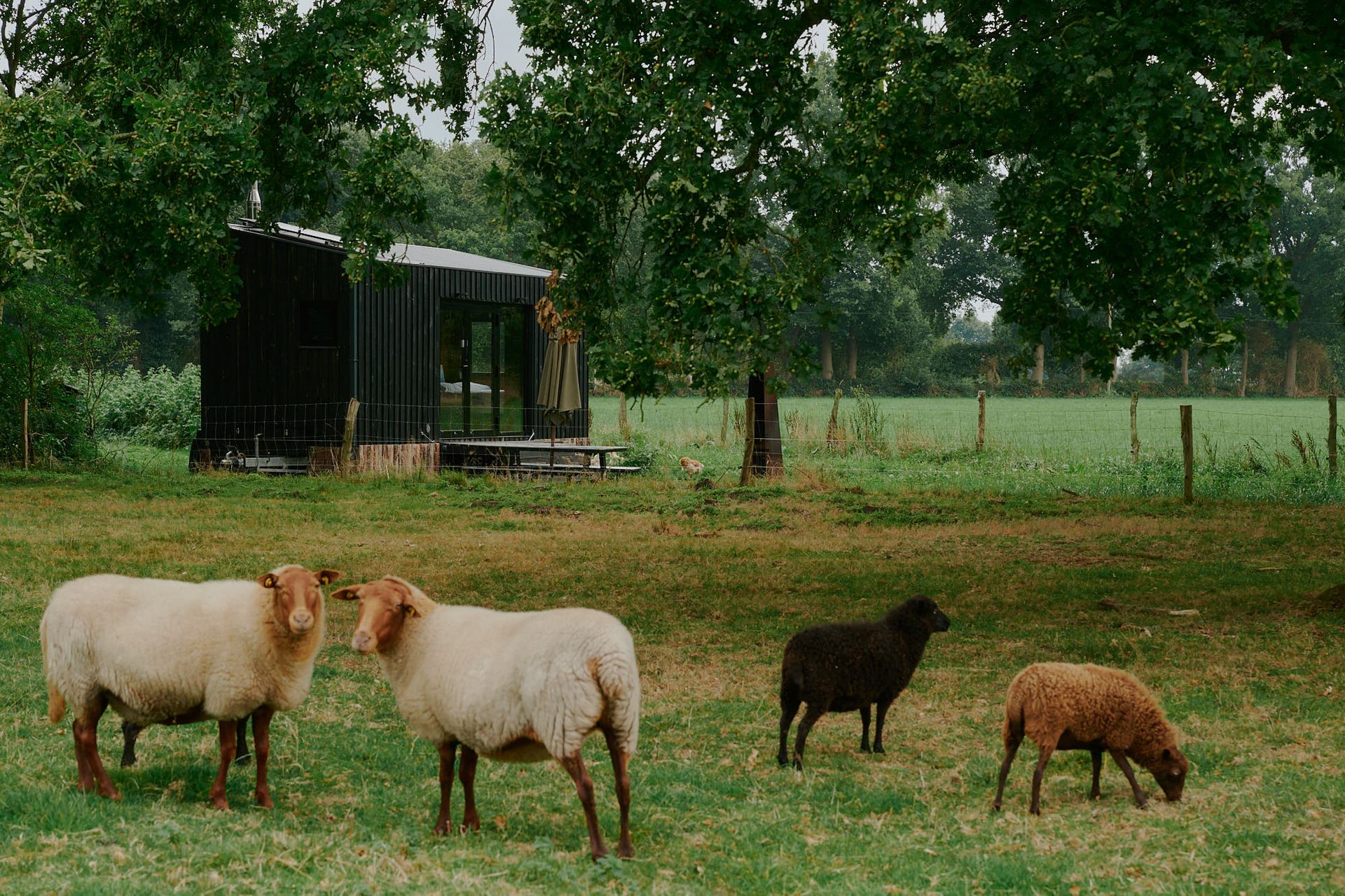 Idyllic nature getaway near Hamburg: pure nature, peace and relaxation!