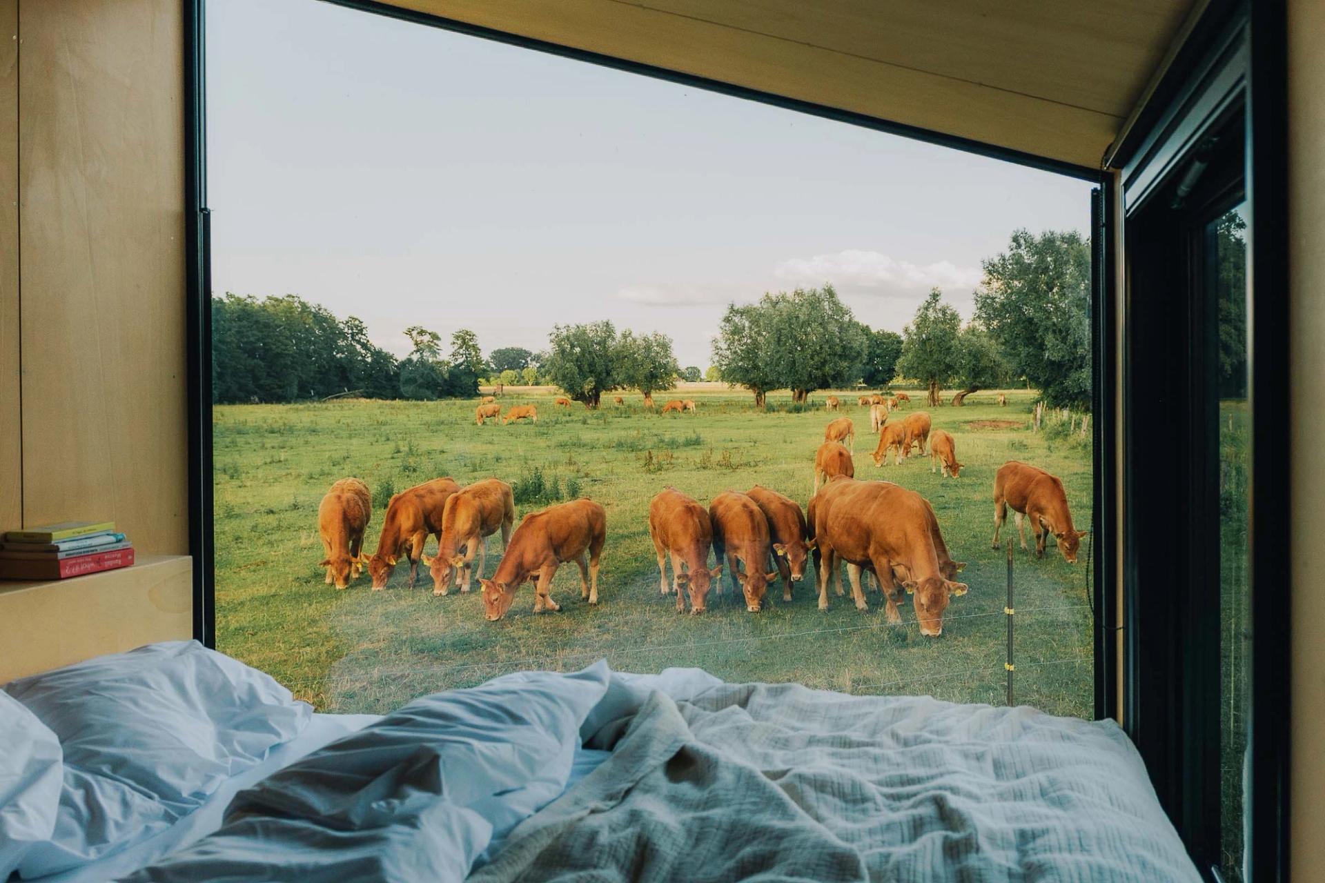 Holiday Near Düsseldorf: Escape the Kö, Head Into the Green