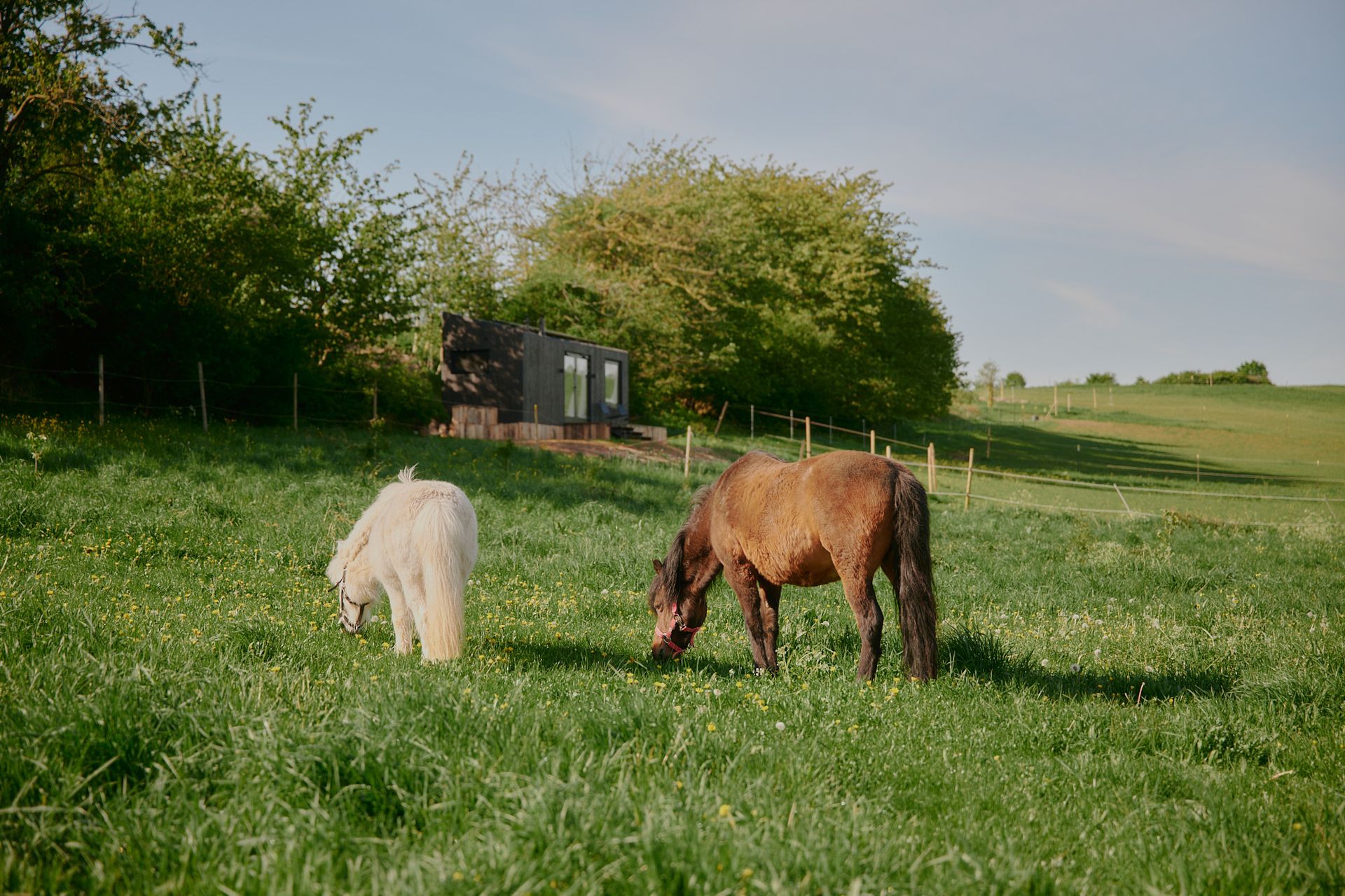 Explore country life: Spend your holiday in cabins on the edge of charming farms!