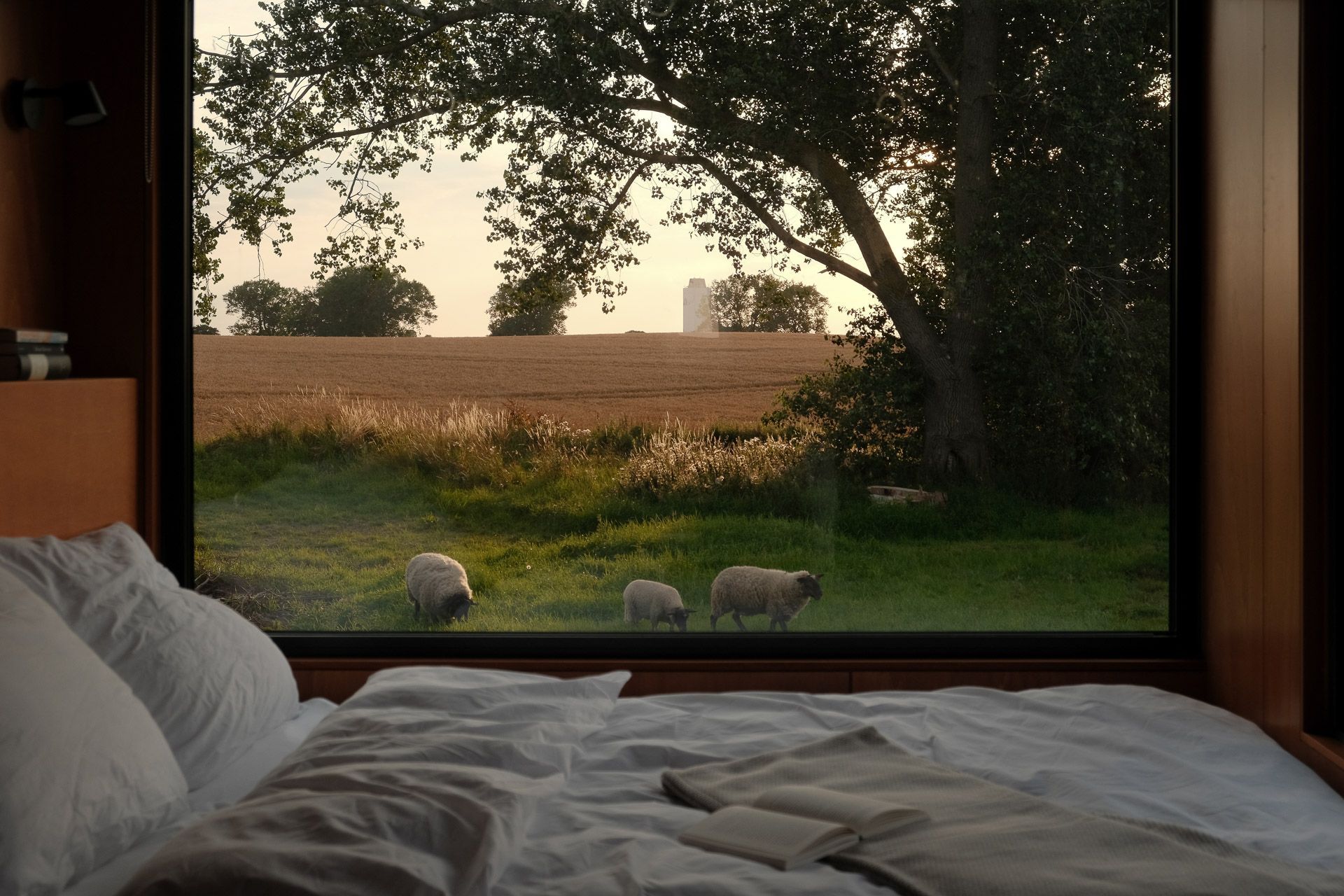 How spontaneous are you really? Discover our last-minute availability for your next nature getaway!